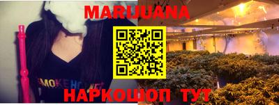 стаф Сланцы