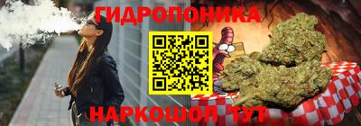 стаф Сланцы