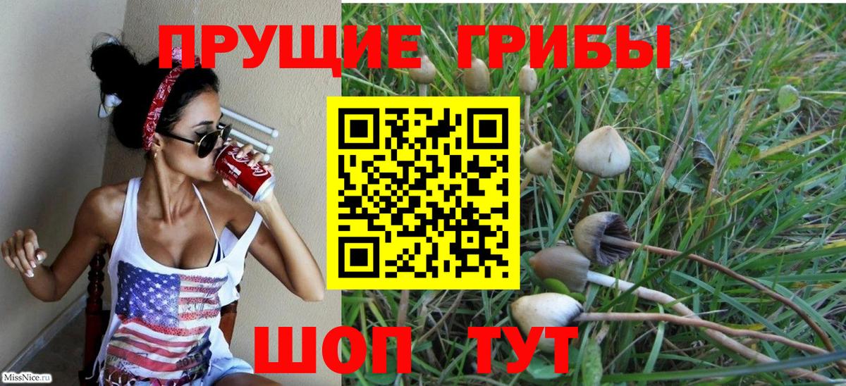 Новошахтинск  Псилоцибиновые грибы MAGIC MUSHROOMS  Вход с VPN 