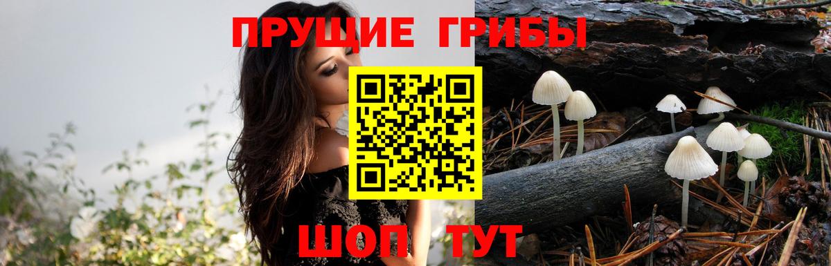 Галлюциногенные грибы мухоморы Новошахтинск